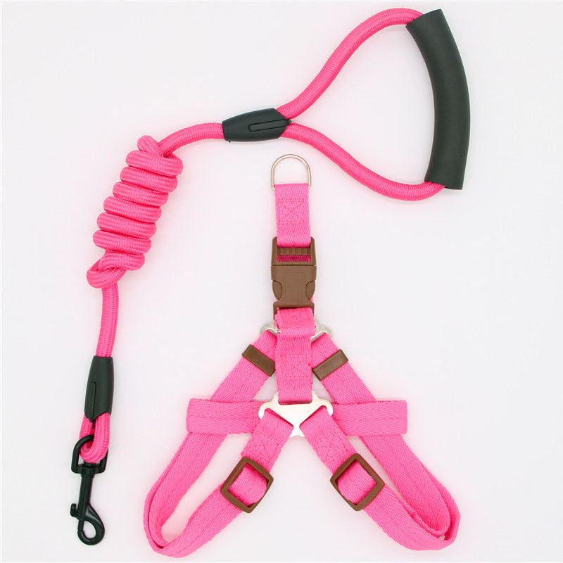 Pet Supplies Simple Dog Leash