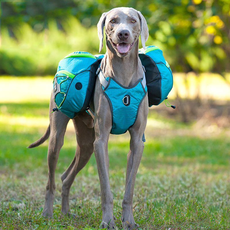 Self-Supporting Pet Backpack