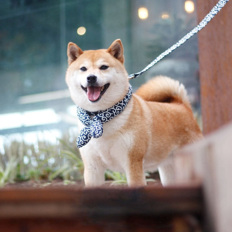 Elegant Japanese Dog Collar