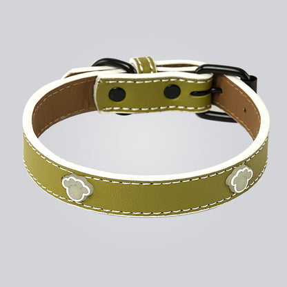 Glow-in-the-Dark Pet Collar