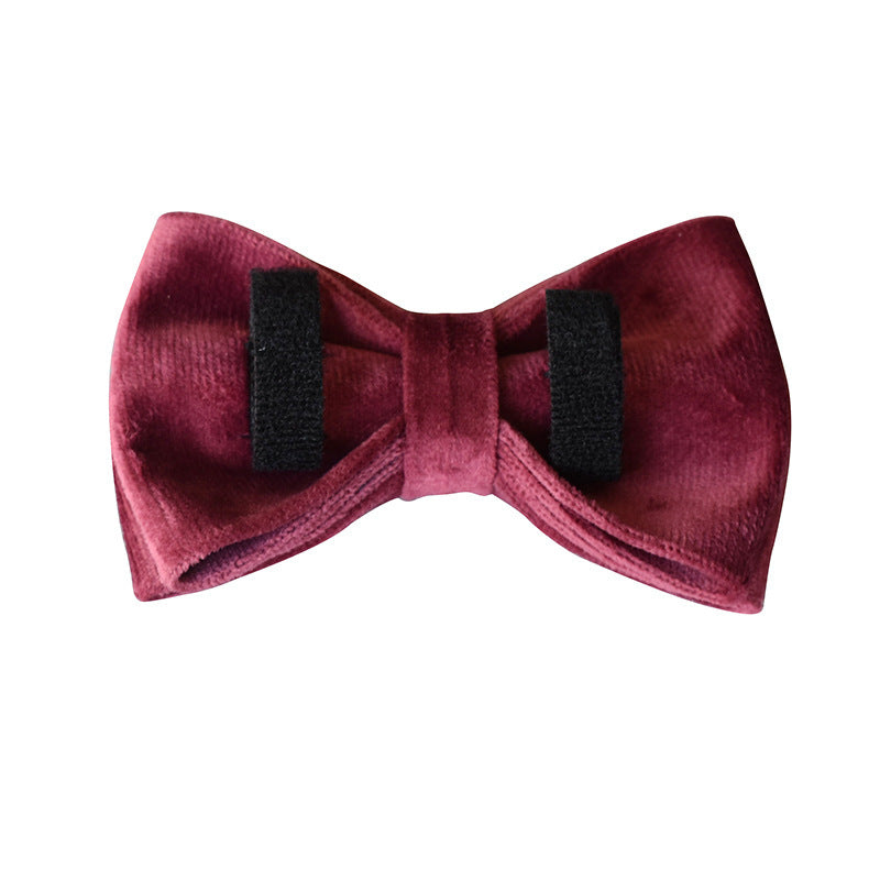 Elegant Velvet Bow Dog Collar