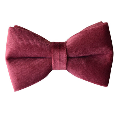 Elegant Velvet Bow Dog Collar