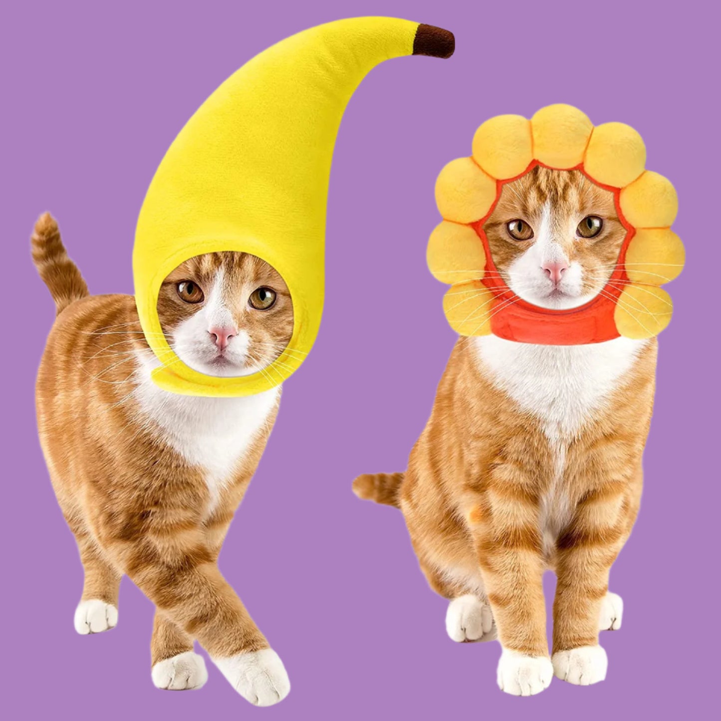 5 Pcs Cat Hat Adorable Costume Bunny Hat with Ears Funny Mane Hat for Cats and Small Dogs Kitten Puppy Party Costume Accessory Headwear (Lion, Frog, Rabbit, Sunflower, Banana)