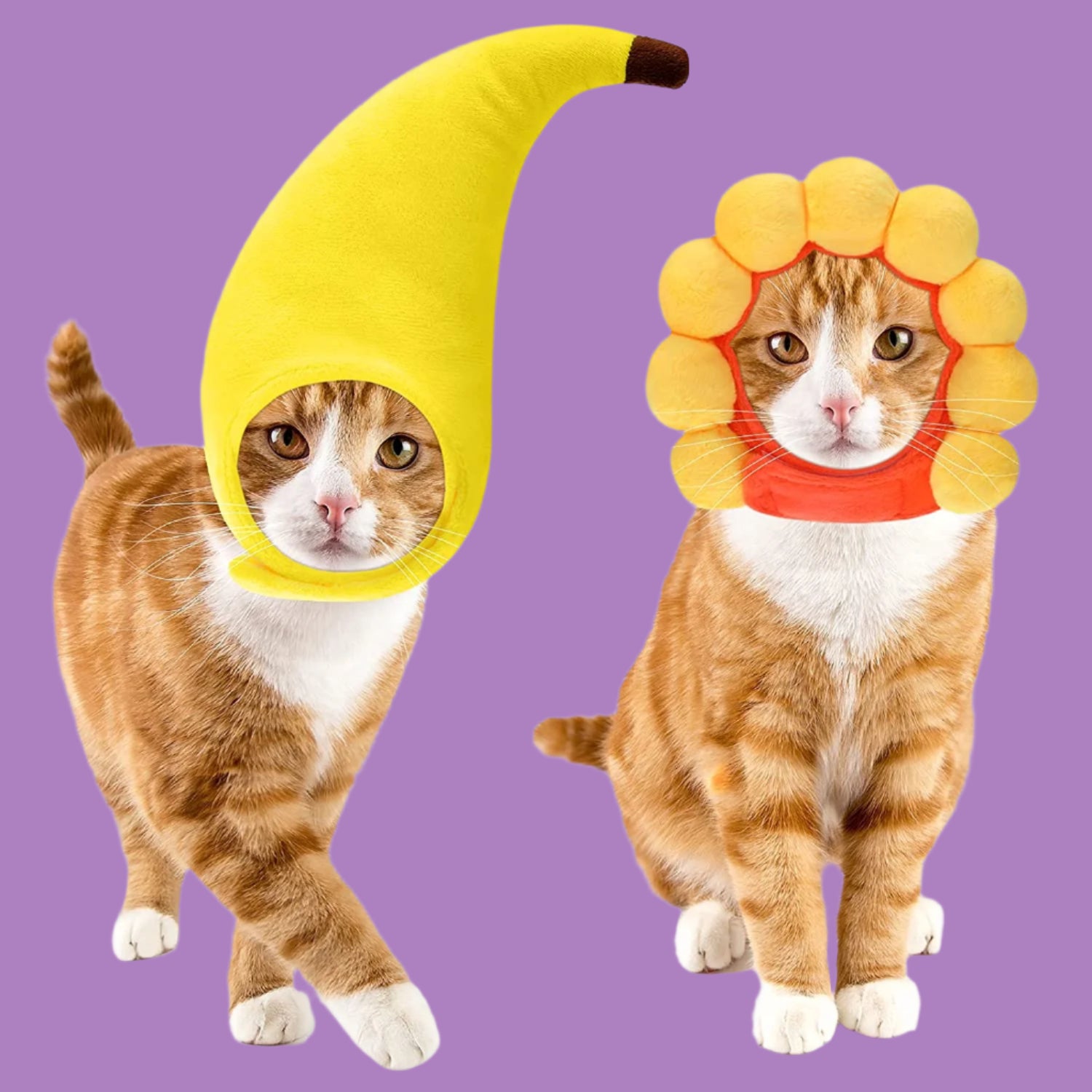 5 Pcs Cat Hat Adorable Costume Bunny Hat with Ears Funny Mane Hat for Cats and Small Dogs Kitten Puppy Party Costume Accessory Headwear (Lion, Frog, Rabbit, Sunflower, Banana)